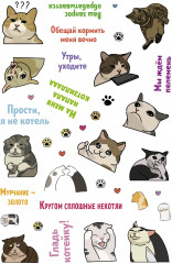 Залипательно мемные стикеры для любителей котиков - Фото 4