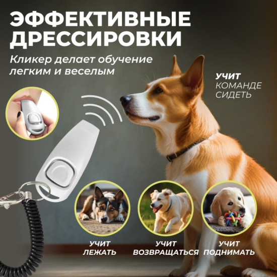 Кликер для дрессировки собак