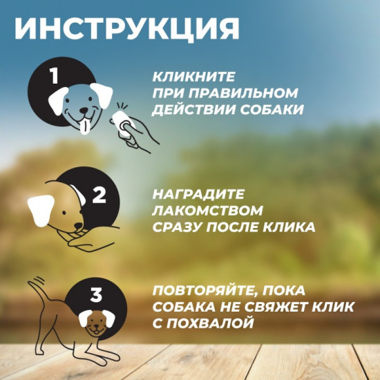 Кликер для дрессировки собак