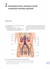Урология - Фото 6