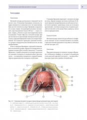 Урология - Фото 7