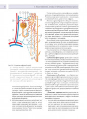 Урология - Фото 8