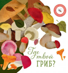 Комплект из 2 книг: «Где твой гриб?», «Где твой цветок?» - Фото 1