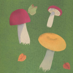 Комплект из 2 книг: «Где твой гриб?», «Где твой цветок?» - Фото 4