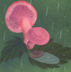 Комплект из 2 книг: «Где твой гриб?», «Где твой цветок?» - Фото 8