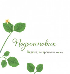 Комплект из 2 книг: «Где твой гриб?», «Где твой цветок?» - Фото 9