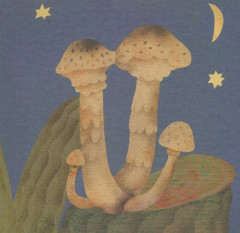 Комплект из 2 книг: «Где твой гриб?», «Где твой завтрак?» - Фото 6