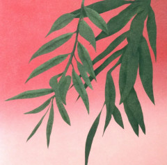 Комплект из 2 книг: «Где твое деревце?», «Где твой друг?» - Фото 3