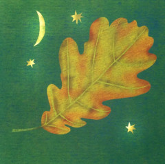 Комплект из 2 книг: «Где твое деревце?», «Где твой друг?» - Фото 5