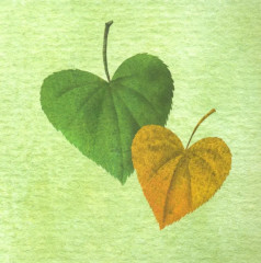 Комплект из 2 книг: «Где твое деревце?», «Где твой друг?» - Фото 7