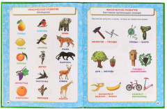 Большая энциклопедия знаний дошкольника - Фото 1