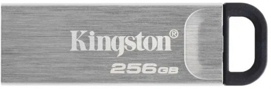 Флеш-накопитель DTKN/256GB