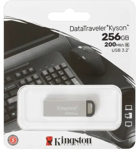 Флеш-накопитель DTKN/256GB