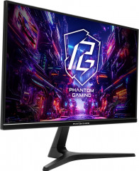 Монитор PG25FFT - Фото 1