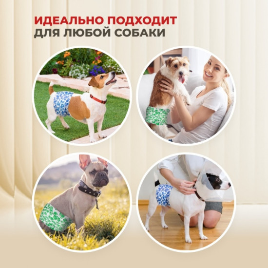 Набор поясов для кобелей