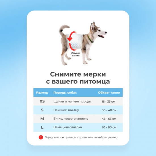 Набор поясов для кобелей