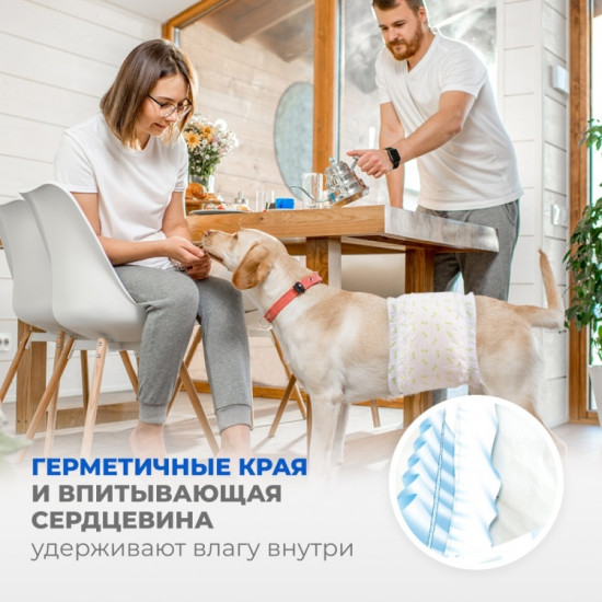 Набор поясов для кобелей