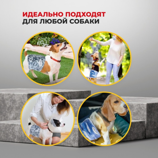 Набор поясов для кобелей