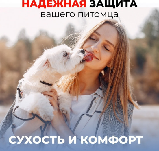 Набор поясов для кобелей