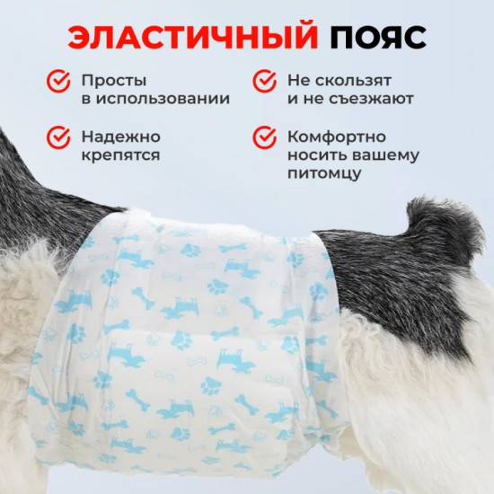 Набор поясов для кобелей