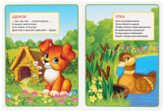 Кто где живёт - Фото 1