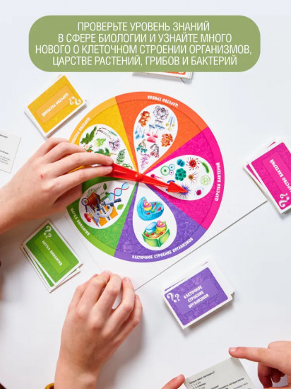 Игра настольная «Биология»