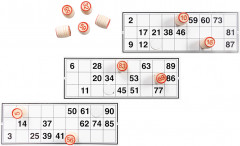 Игра настольная «Русское лото традиционное» - Фото 2
