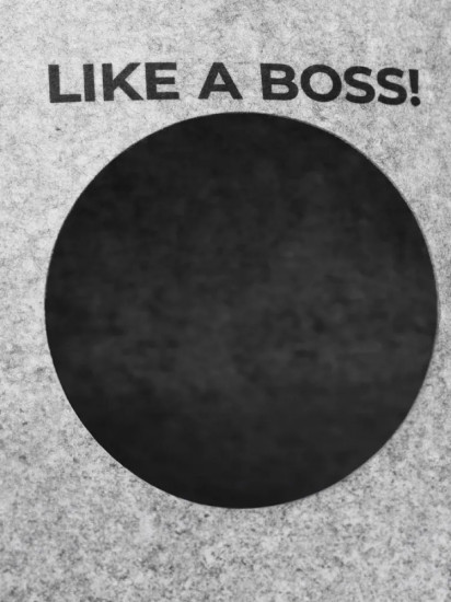 Домик для кошек из войлока «Like a Boss!»