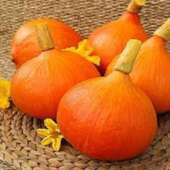 Семена тыквы крупноплодной «Китайский фонарик» - Фото 1