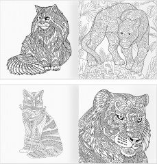 Раскраска для взрослых «Антистресс-терапия. Такие разные кошки» - Фото 2