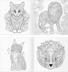 Раскраска для взрослых «Антистресс-терапия. Такие разные кошки» - Фото 5
