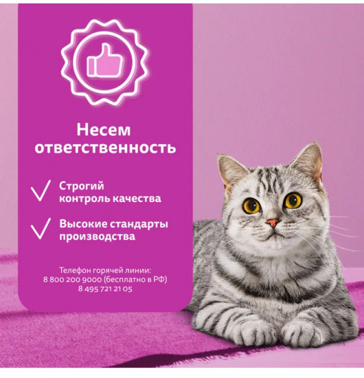 Корм влажный для взрослых кошек «Рагу с телятиной, ягнёнком и овощами»