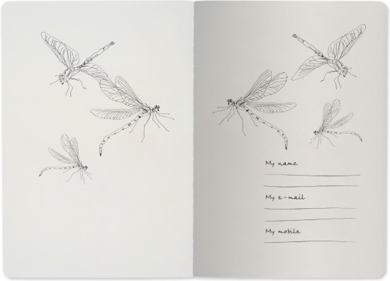 Тетрадь общая «Dragonfly»