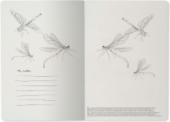 Тетрадь общая «Dragonfly» - Фото 3