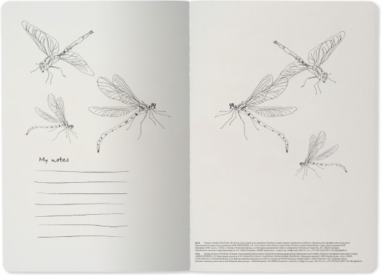 Тетрадь общая «Dragonfly»