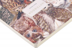 Тетрадь общая «Волшебные совы» - Фото 2