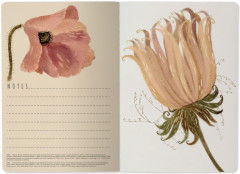 Тетрадь общая «Цветочная страсть» - Фото 3