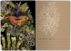 Тетрадь общая «Эльфийский лес» - Фото 1