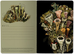 Тетрадь общая «Эльфийский лес» - Фото 3