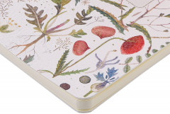 Тетрадь общая «Flora. Луговые травы» - Фото 2