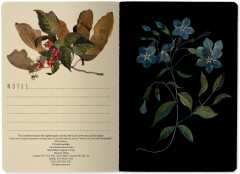 Тетрадь общая «Лесные ягоды» - Фото 1