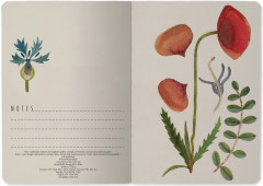 Тетрадь общая «Луговые травы» - Фото 3