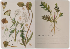 Тетрадь общая «Луговые травы» - Фото 4