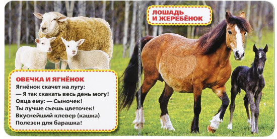 Мамы и малыши