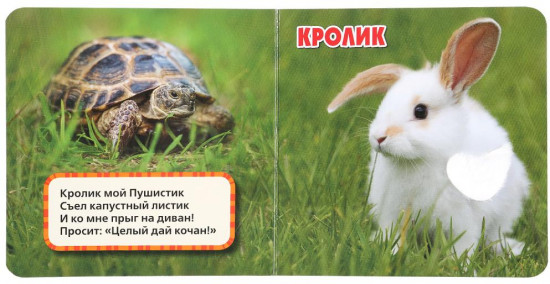 Домашние питомцы