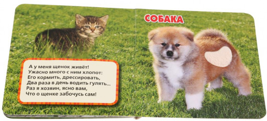 Домашние питомцы