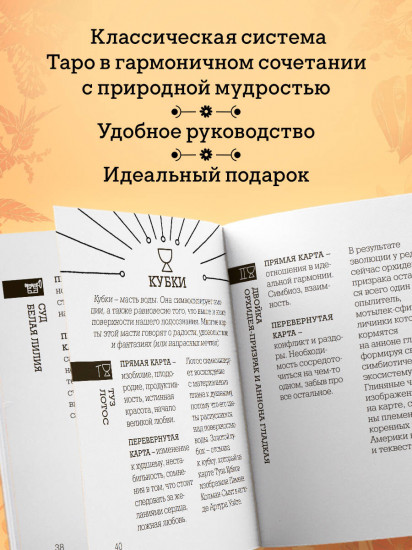 Ботаника. Таро. 78 карт и руководство