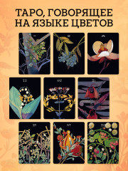 Ботаника. Таро. 78 карт и руководство - Фото 3