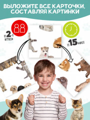 Игра настольная «Шурум-Бурум. Найди половинку» - Фото 1