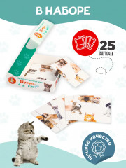 Игра настольная «Шурум-Бурум. Найди половинку» - Фото 4